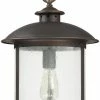 Outlet 😀 Capital Lighting Dylan 100W 1-Light Medium E-26 Incandescent Hanging Lantern in Old Bronze 🎉