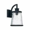 Hot Sale 🧨 Capital Lighting Tory 100W 1-Light Medium E-26 Incandescent Outdoor Wall Lantern in Black ❤️