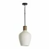 Top 10 🔥 Capital Lighting Independent 1 LIGHT PENDANT ✔️