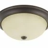 Brand new 🔥 Capital Lighting 60W 3-Light Flushmount Ceiling Fixture in Bronze 😉