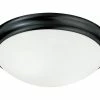 Discount 👍 Capital Lighting Independent 12-1/2 in. 60W 2-Light Medium E-26 Incandescent Flush Mount Ceiling Fixture in Matte Black 😀