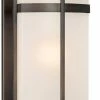 Best reviews of 🌟 Capital Lighting Lakeshore 60W 1-Light Wall Lantern in Old Bronze 🥰