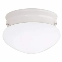 Cheap ⭐ Capital Lighting Independent 5 x 9 in. 60 W 2-Light Medium Flush Mount Ceiling Fixture with White Glass in White 😍