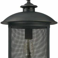 Flash Sale 🧨 Capital Lighting Dylan 100W 1-Light Medium E-26 Incandescent Outdoor Hanging Lantern in Old Bronze ❤️