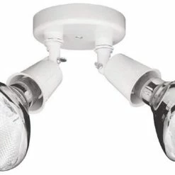 Best reviews of 🎁 Capital Lighting Capital Outdoors 150 W 2 Light Incandescent Flood Light in White 🤩