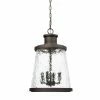 New 💯 Capital Lighting Tory 60W 4-Light Candelabra E-12 Incandescent Outdoor Hanging Lantern in Oiled Bronze ✔️