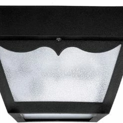 Best reviews of 👏 Capital Lighting Outdoor 60W 2-Light Flushmount Outdoor Poly Ceiling Fixture in Black ⭐
