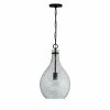 Hot Sale 🔥 Capital Lighting 100W 1-Light Medium E-26 Incandescent Pendant in Matte Black 🎉